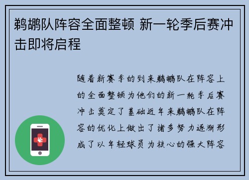 鹈鹕队阵容全面整顿 新一轮季后赛冲击即将启程